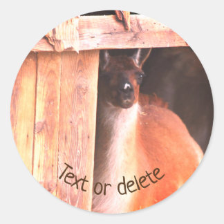 Sticker Rond Joli Llama ferme animal personnalisé