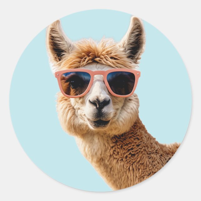 Sticker Rond Joli Lllama Avec Lunettes De Soleil Sur (Devant)