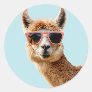 Sticker Rond Joli Lllama Avec Lunettes De Soleil Sur