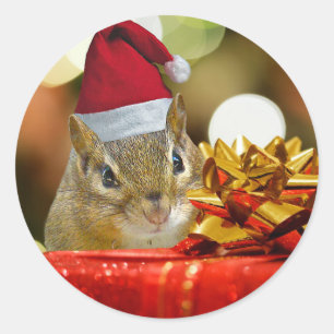 Sticker Rond Joli Noël Chipmunk