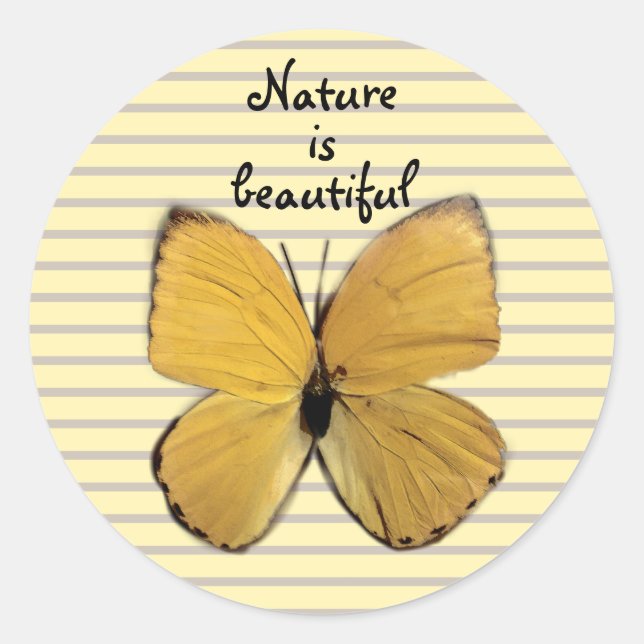 Sticker Rond Joli papillon jaune (Devant)
