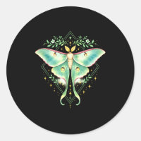Joli papillon luna beau lépidoptère amateur d'inse