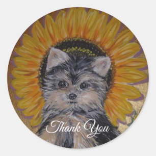 Sticker Rond Joli petit Yorkie et Tournesol Merci