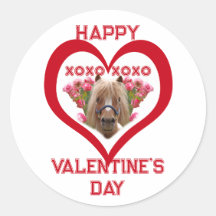Joli Poney en Rouge pour la Saint-Valentin pour le