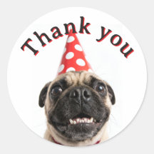 Joli Pug d'anniversaire en chapeau de fête rouge