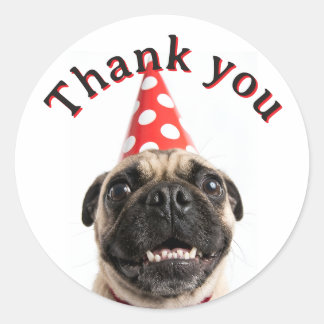 Sticker Rond Joli Pug d'anniversaire en chapeau de fête rouge