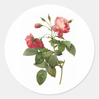 Sticker Rond Joli Rose