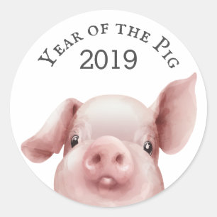 Sticker Rond Jolie année du sceau d'enveloppe 2019 de porc