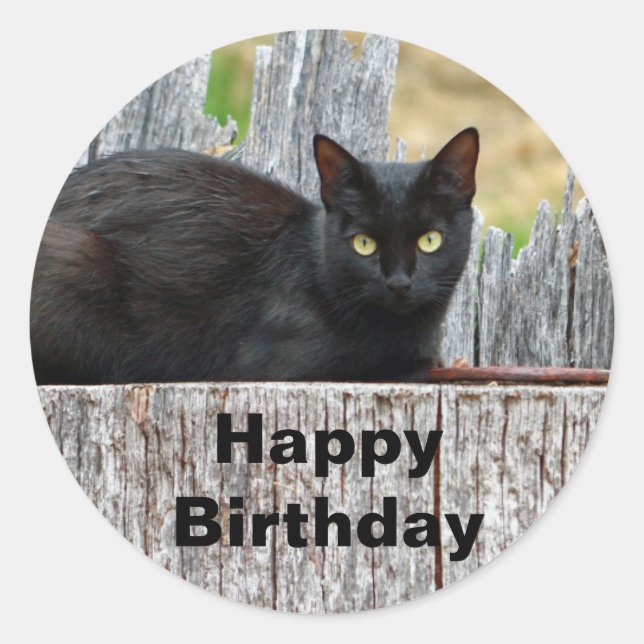 Sticker Rond Jolie Black Cat Log Photo Anniversaire (Devant)