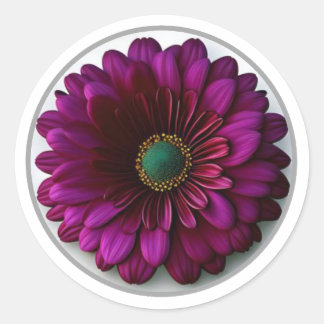 Sticker Rond Jolie Fleur Magenta #1