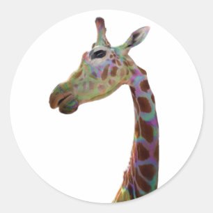 Sticker Rond Jolie Giraffe colorée