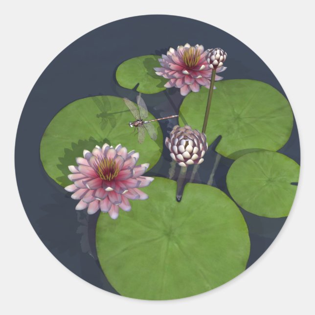 Sticker Rond Jolie Lys d'eau rose et libellule (Devant)