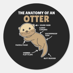 Sticker Rond Jolie Otter Explication Anatomie D'Une Otter
