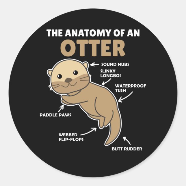 Sticker Rond Jolie Otter Explication Anatomie D'Une Otter (Devant)