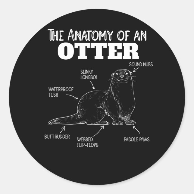 Sticker Rond Jolie Otter Explication Anatomie D'Une Otter (Devant)