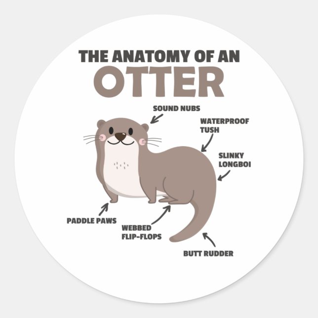 Sticker Rond Jolie Otter Explication Anatomie D'Une Otter (Devant)