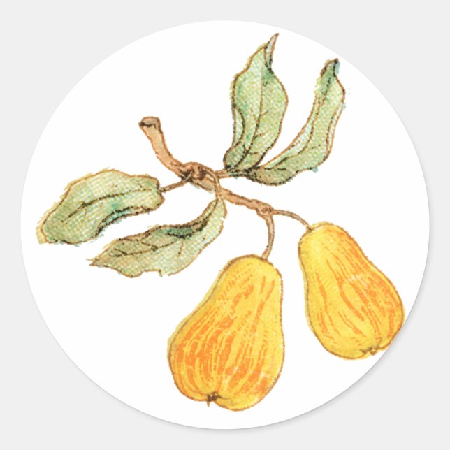 Sticker Rond Jolie paire de poires (Devant)