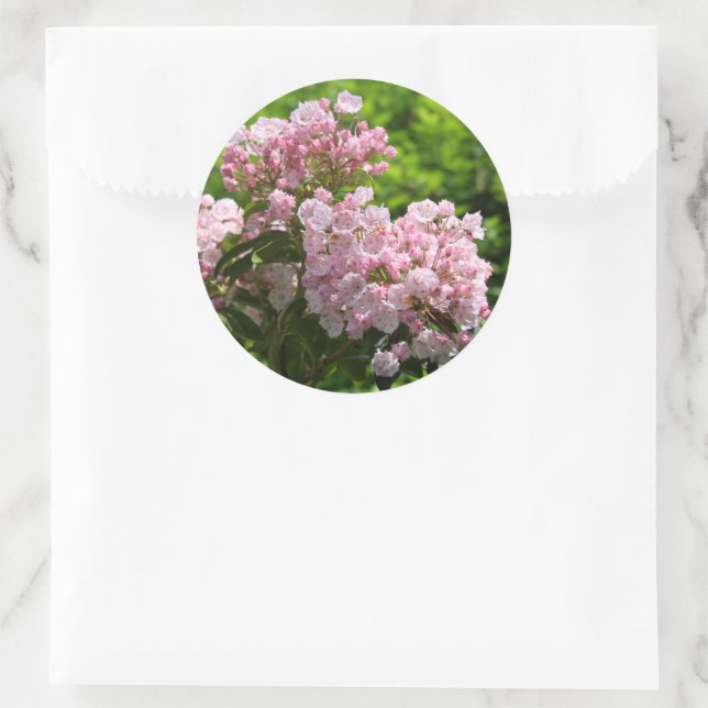Sticker Rond Jolies fleurs de laurier rose (Sac)
