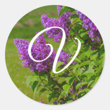 Jolies Fleurs violettes, Phoques d'enveloppes Mono