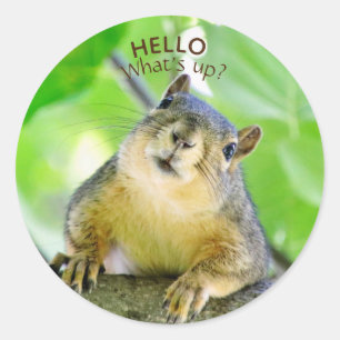 Sticker Rond Jote What's Up Envelope Seals