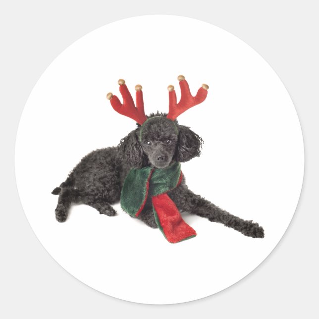 Sticker Rond Jouet noir de Noël Chien de caniche habillé en ren (Devant)