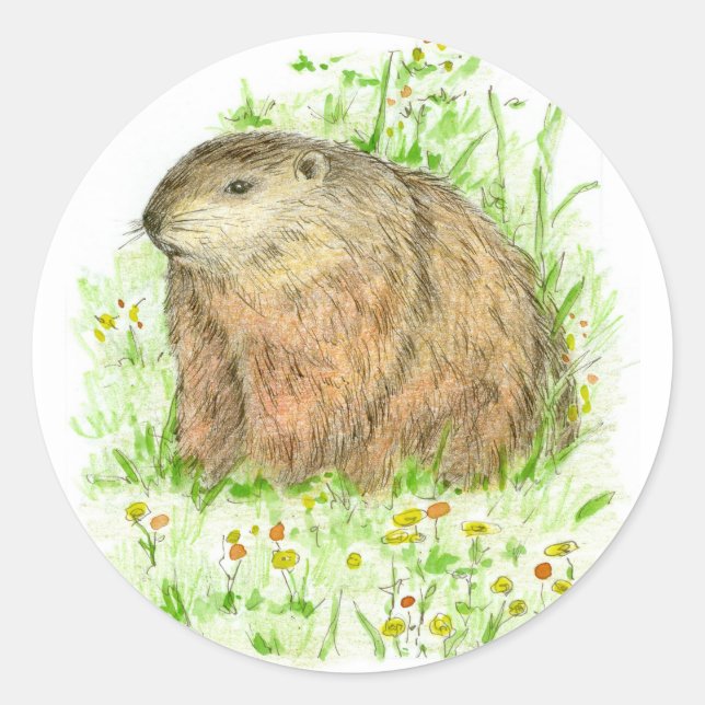 Sticker Rond Jour de la marmotte Boodchuck Rodent Animal (Devant)