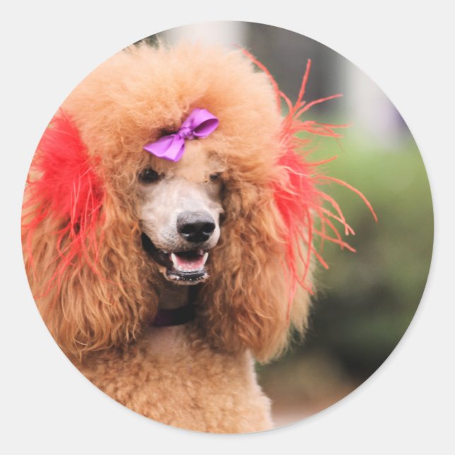 Sticker Rond Jour des canicules 2010 #1 (Devant)