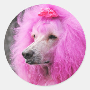 Sticker Rond Jour des canicules 2010 #11