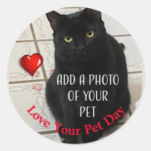Sticker Rond Journée de l'amour pour votre animal