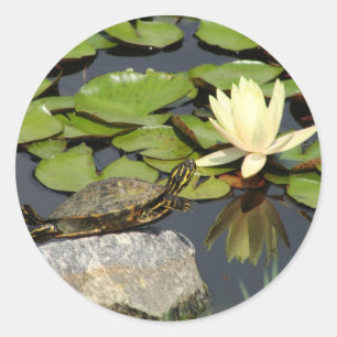 Sticker Rond Joyeuse tortue dans un étang Lily Pond