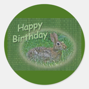 Sticker Rond Joyeux Anniversaire Lapin Lapin Articles de coordi
