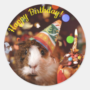 Sticker Rond Joyeux Anniversaire - Parti Animal Guinea Pig Pape
