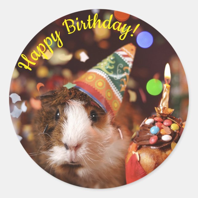 Sticker Rond Joyeux Anniversaire - Parti Animal Guinée Pig Papi (Devant)