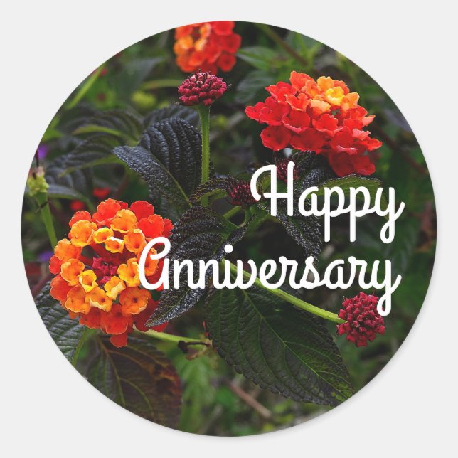 Sticker Rond Joyeux Anniversaire Rouge orange Trailing Lantana  (Devant)