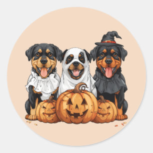 Sticker Rond Joyeux chien Rottweiler Halloween Jack-o'-lantern