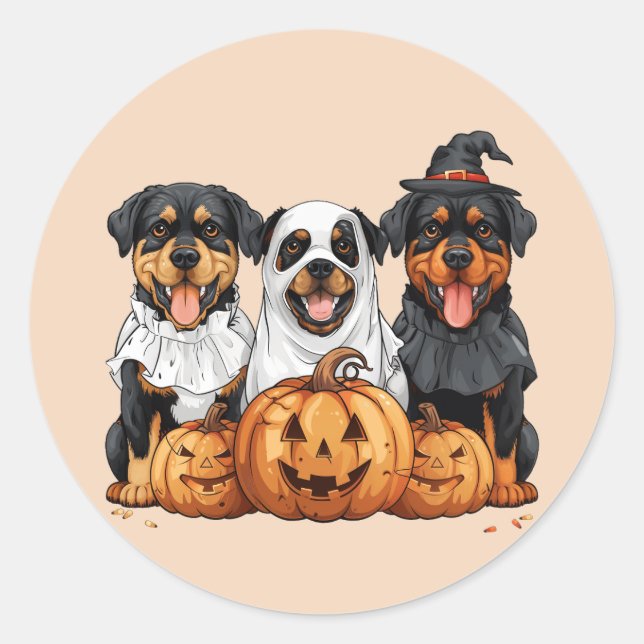 Sticker Rond Joyeux chien Rottweiler Halloween Jack-o'-lantern (Devant)