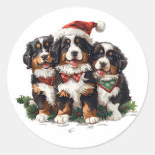 Sticker Rond Joyeux Chiens de montagne bernois de Noël
