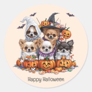 Sticker Rond Joyeux Chihuahua Halloween