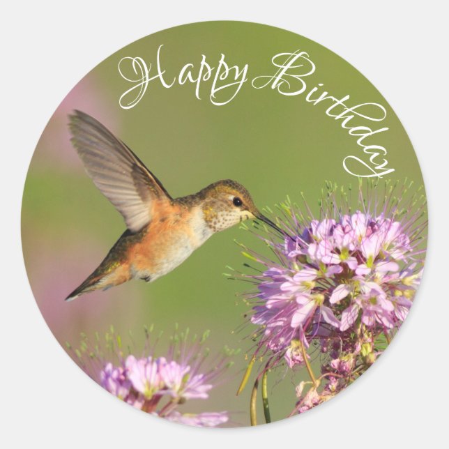 Sticker Rond Joyeux Fleurs sauvages de colibri d'anniversaire (Devant)
