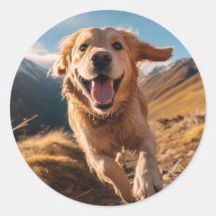 Sticker Rond Joyeux Golden Retriever en cours