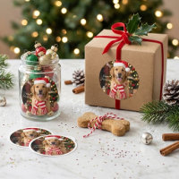 Joyeux Golden Retriever Mignon Chien de Noël