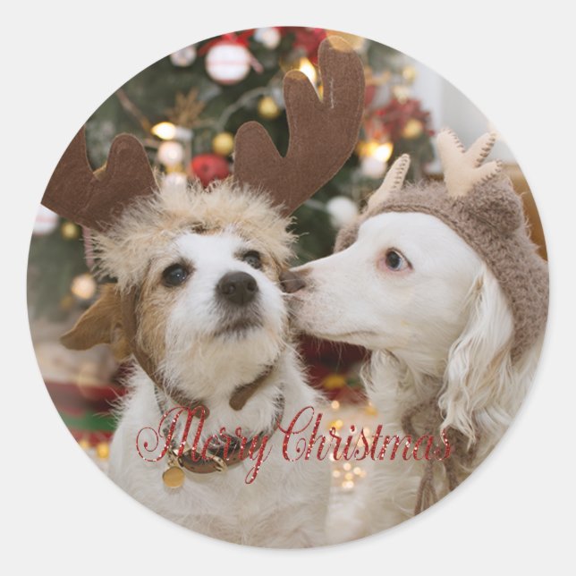 Sticker Rond Joyeux Noël, Chiens Amoureux (Devant)