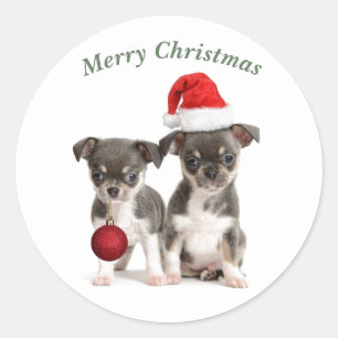 Sticker Rond Joyeux Noël Chihuahua Chiuppies