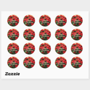 Sticker Rond Joyeux Noël Poinsettias Rouges