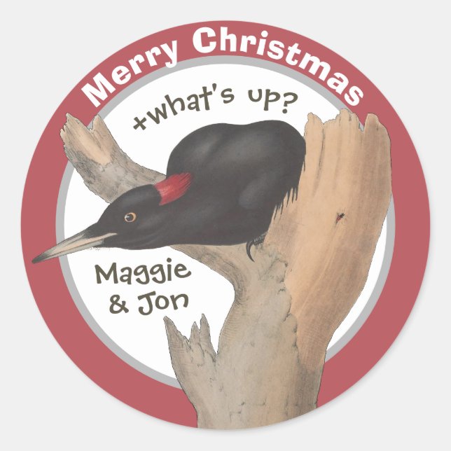 Sticker Rond Joyeux Noël +quoi de neuf ? Pic de John Gould (Devant)