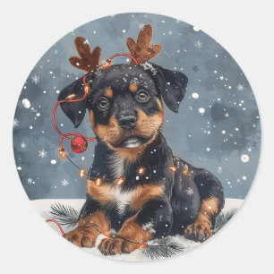 Sticker Rond Joyeux Noël Rottweiler Chien Reindeer