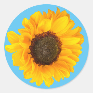 Sticker Rond Joyeux tournesol