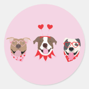 Sticker Rond Joyeux Valentines Day American Pit Bull Terriers