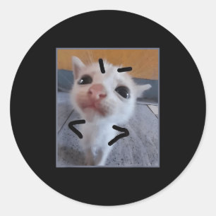 Sticker Rond Jugement Kitty Funny Amoureux des chats Angry Kitt
