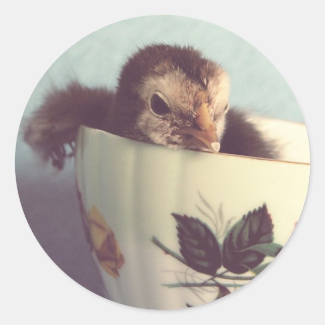 Sticker Rond Juste Chillin' (Devant)